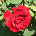107_erotika_2_125.jpg