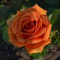 115_ashram_2_125.jpg