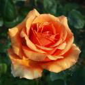 115_ashram_3_125.jpg