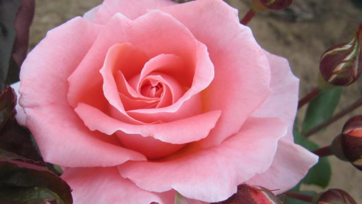 1258_always_you_1_708.jpg