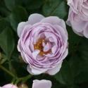 1309_nautica_2_125.jpg