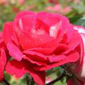 148_heimatmelodie_2_125.jpg