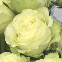 266_lemonade_2_125.jpg
