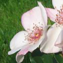 333_astronomia_3_125.jpg