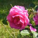44_lydia_freimane_2_125.jpg