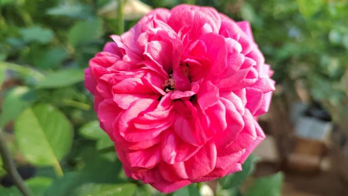 484_out_of_rosenheim_1_708.jpg