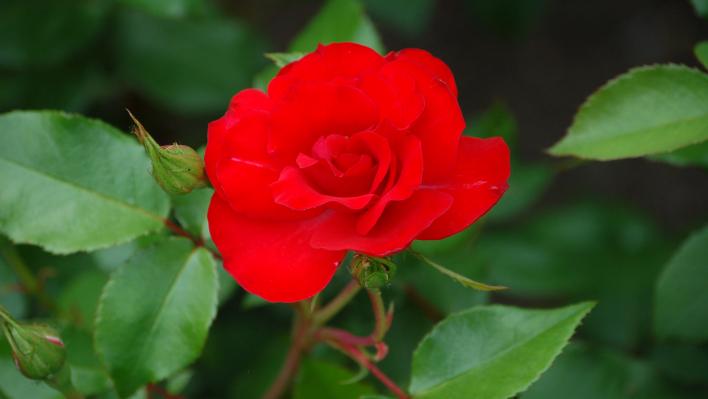 558_resonanz_1_708.jpg