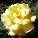 756_3_125.jpg