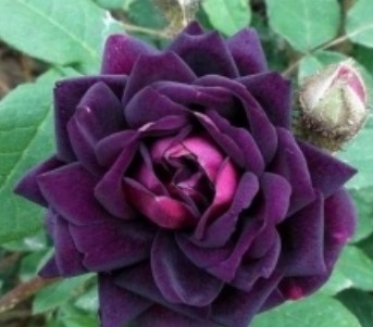 snimok_ekrana_20200930_161922.jpg